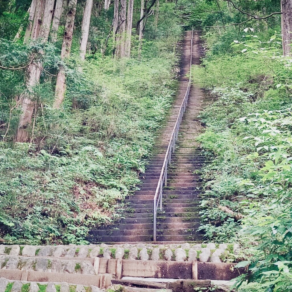 奥多摩の山歩きと立ち食いそばから考える「少しだけ不便を選ぶ生き方」